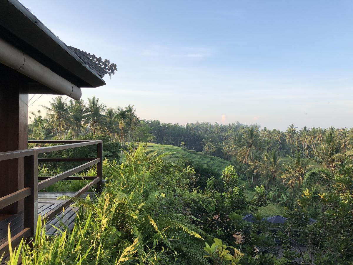 Soulshine Bali Hotel Ubud  Bagian luar foto